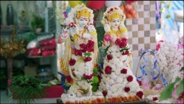 Titli - 8th June 2023